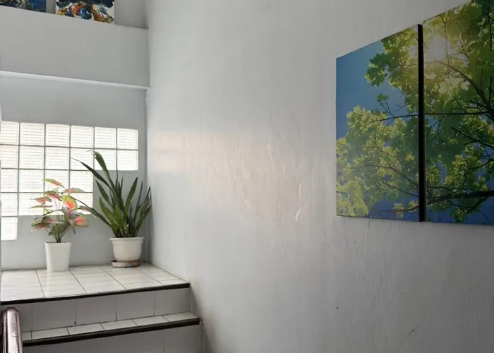 Bed & Breakfast December To January